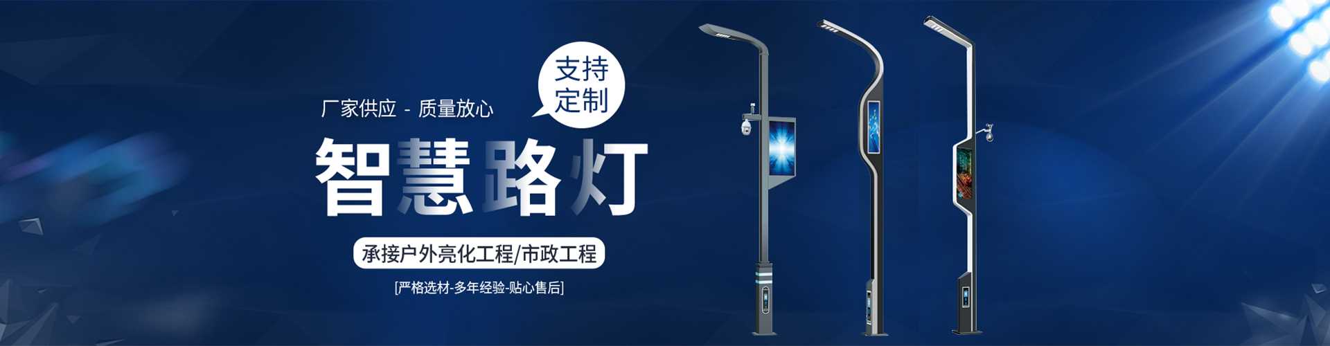 鄞州区太阳能路灯定制厂家